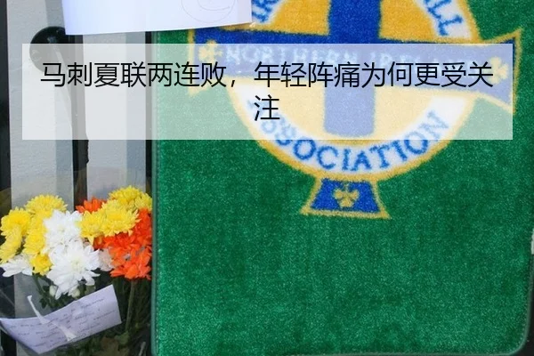 马刺夏联两连败，年轻阵痛为何更受关注