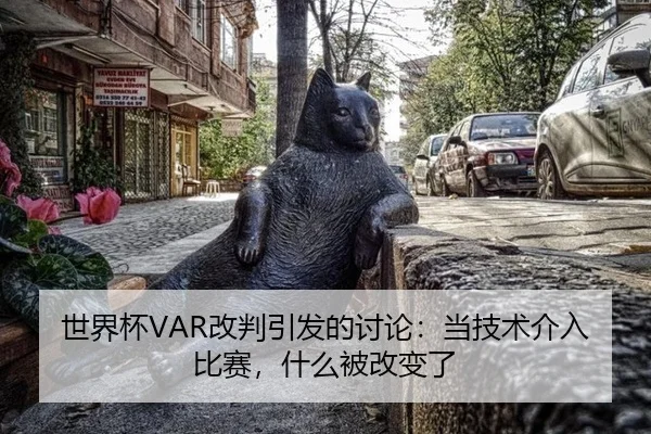 世界杯VAR改判引发的讨论：当技术介入比赛，什么被改变了